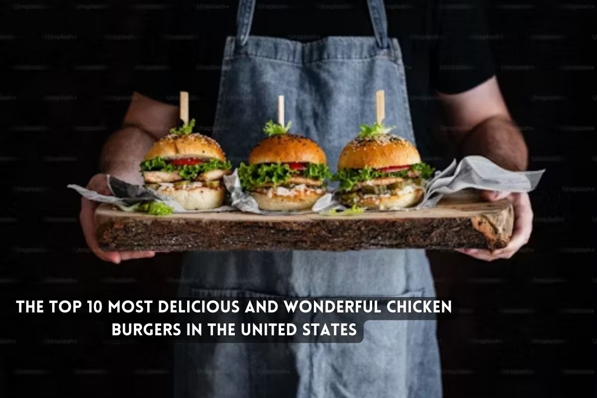 The Top Most Delicious and Wonderful Chicken Burgers in the United States