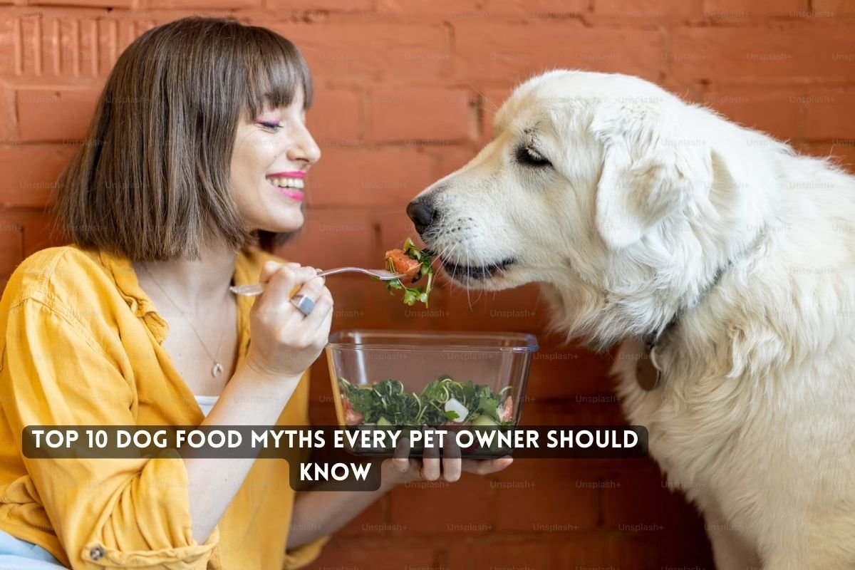 Top Dog Food Myths Every Pet Owner Should Know